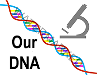 Our DNA